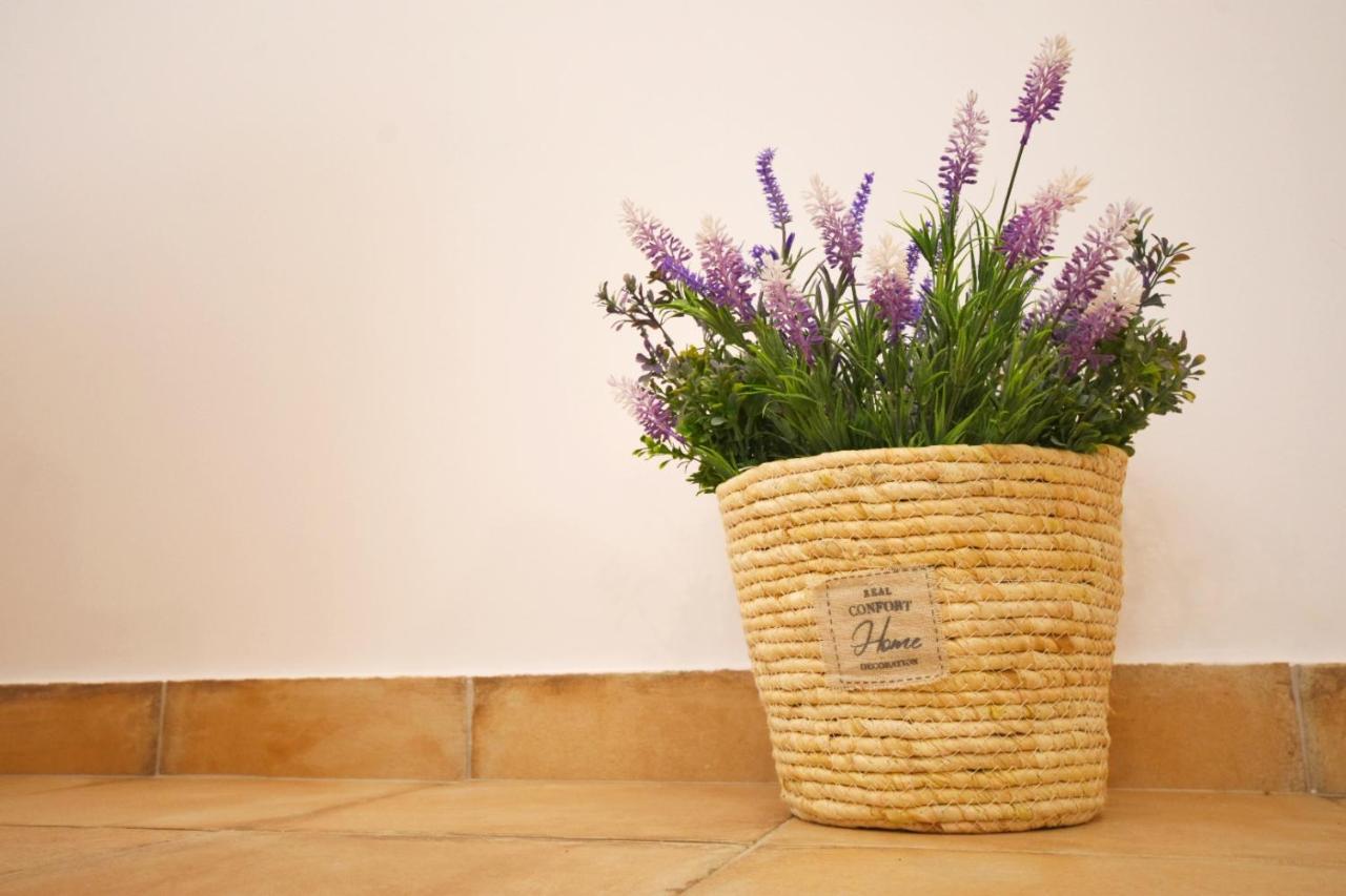Noray Home Barbate Dış mekan fotoğraf